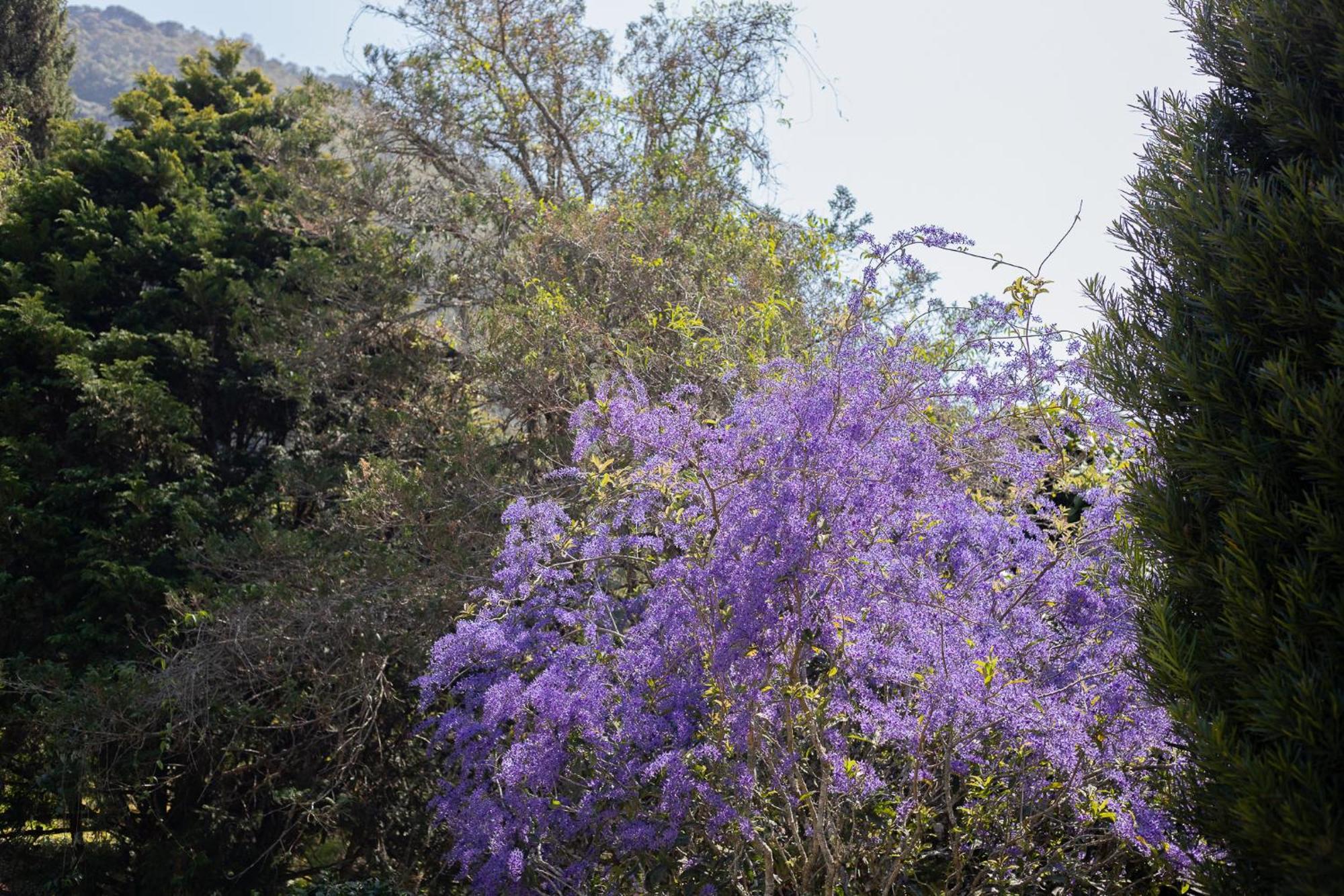 Recanto Dos Vianas Teresópolis Esterno foto